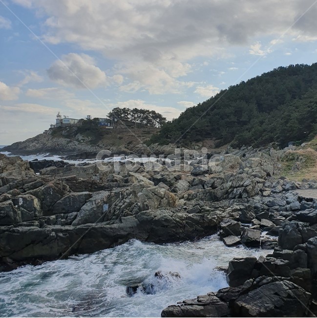 바다,sea,ocean,view,tree,나무,산,공원,park