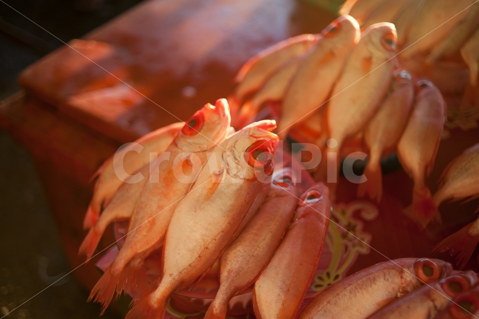 생선,물고기,고기,어류,어시장,시장,마트,마켓,market,mart,market place,음식,식재료,요리,food,cook,meal,dishes,food reserves,수산물,해산물,fishery products,seafood