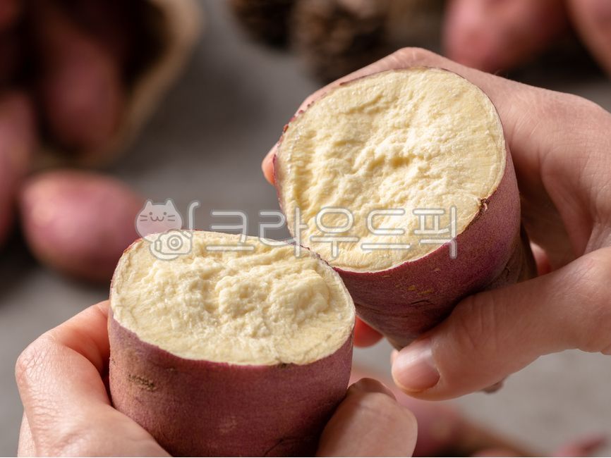 chestnut sweet potato,sweet potato,Raw sweet potato,Haenam Sweet Potato,Sweet Potato Dishes,Honey sweet potato,Pumpkin Sweet Potato,yellow sweet potato