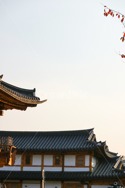 한옥,건축,건물,동양건축,한국전통,전통가옥,전통,민속,기와집,마을,한국,대한민국,집,주택,한국전통,한국문화,korean traditional,korean culture,건축물,건물외관,exterior,building,structure,architecture,construction