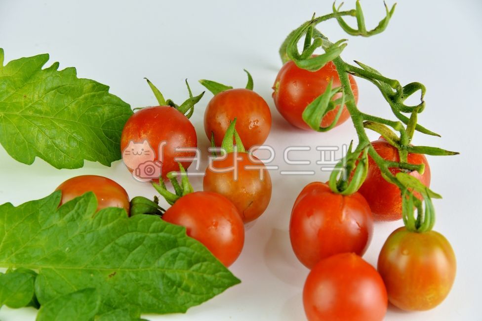 방울토마토,토마토,과일,음식,식재료,열매,음식재료,자연산,야채,채소,빨강색,유기농,건강음식,디저트,신선과일,다이어트,누끼,식물,plant,음식,식재료,요리,food,cook,meal,dishes,food reserves