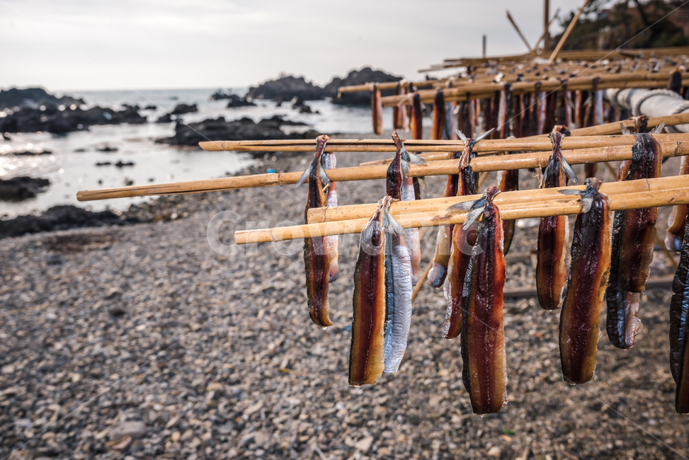 과메기,구룡포,동해,꽁치,거조,바다,술안주,안주,아침,해안,해변,파도,특산물,포항,해풍,신선,해산물,수산물,요리,겨울,sea,food,해변,바다,beach,sea,음식,식재료,요리,food,cook,meal,dishes,food reserves,수산물,해산물,fishery products,seafood