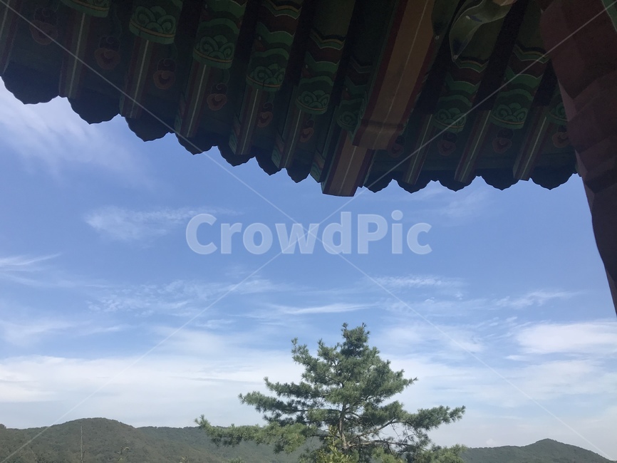 하늘,나무,정자,구름,푸른