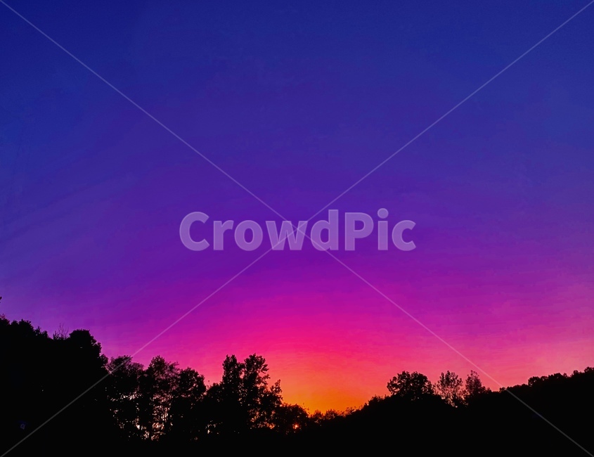 석양,퇴근,노을,밤,숲,보라,명암,자연,실루엣,옥외,outdoors,nature,silhouette,자연,풍경,nature,landscape
