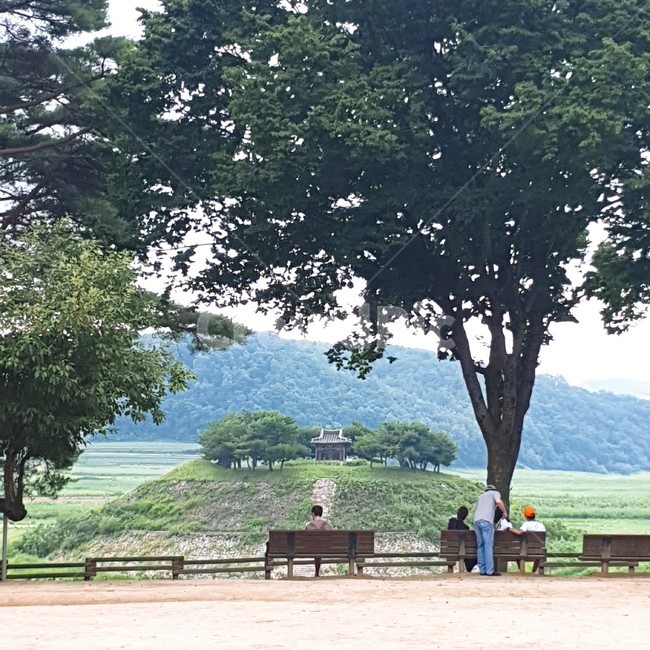 자연,한옥,안동,공원,벤치,강