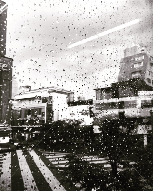 비,빗방울,하늘,흑백사진,창문,비,비오는날,rain,rainy,흑백,모노톤,monochrome,black and white