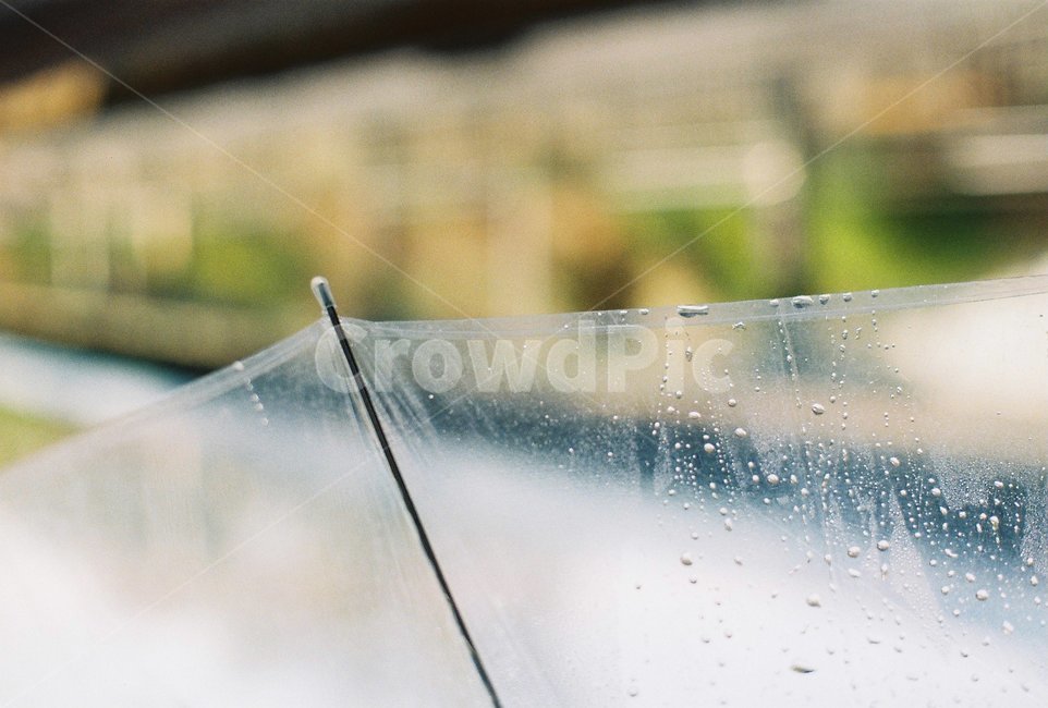 우산,비,rain,물방울,날씨,비,비오는날,rain,rainy