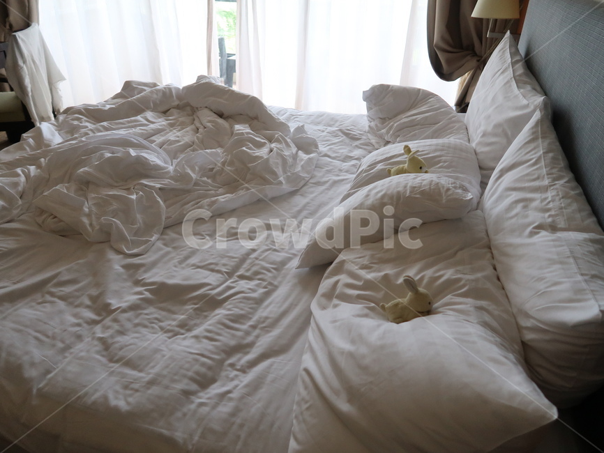 furniture,가구,bed,침대,뽀송,인형,토끼,호텔,침실,체크인,체크아웃,베개,pillow,아침,오후,햇살