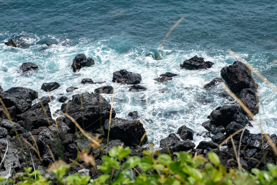 제주,제주도,성산일출봉,자연,바다,풍경,아름다운풍경,바닷가,섬,jeju,nature,풀,검은해변,검은돌,water,land,파도,검은바위,자연,풍경,nature,landscape,제주도,jeju,jeju island,outdoors,옥외,물,sea,ocean,대양,adventure,모험,leisure activities,레저 활동