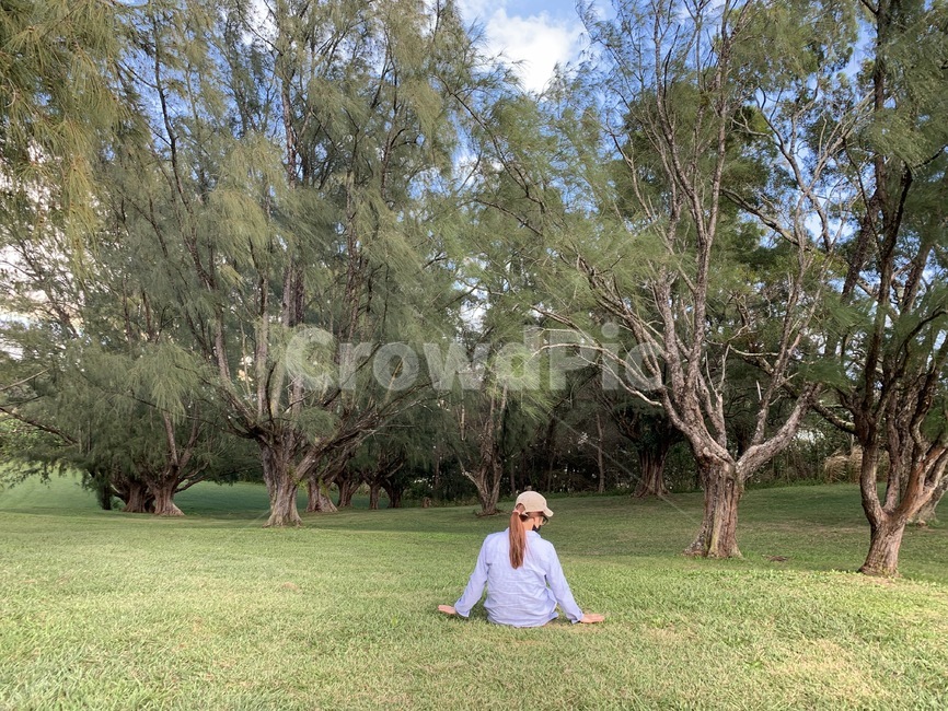 plant,식물,grass,잔디,human,tree,사람,person,인간,여자,여성,lady,woman,vacation,감성,나무,들판,rest,힐링,하와이