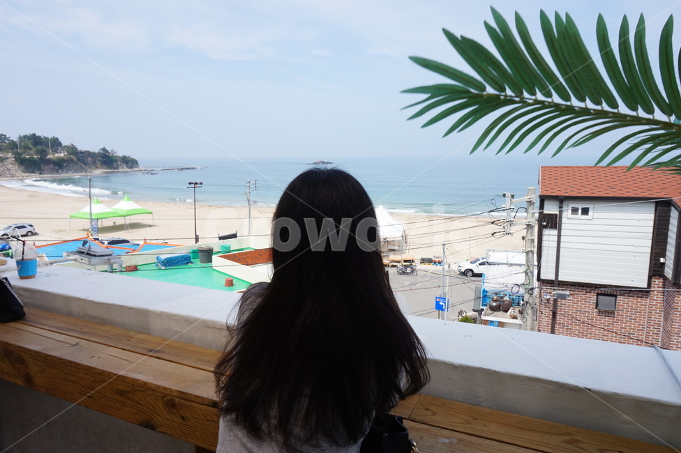 바다,포항바다,오도리,바다카페,바다앞카페,여름바다,sea,summer,바다감성,타이타닉,해변