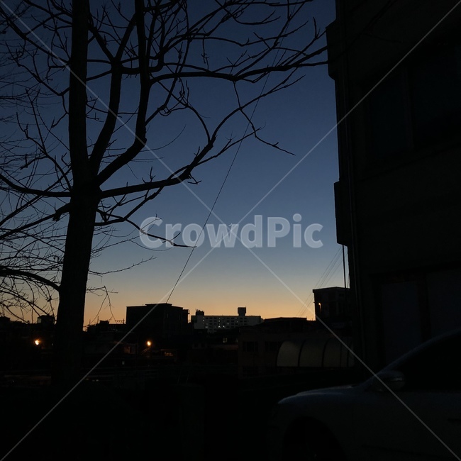 저녁,노을,달,그라데이션하늘,초승달,도시,풍경,city,landscape,실루엣,그림자,silhouette,shadow,nature,자연,outdoors,옥외
