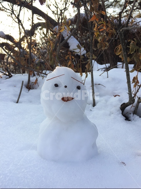눈,눈사람,겨울,winter,snow,옥외,자연