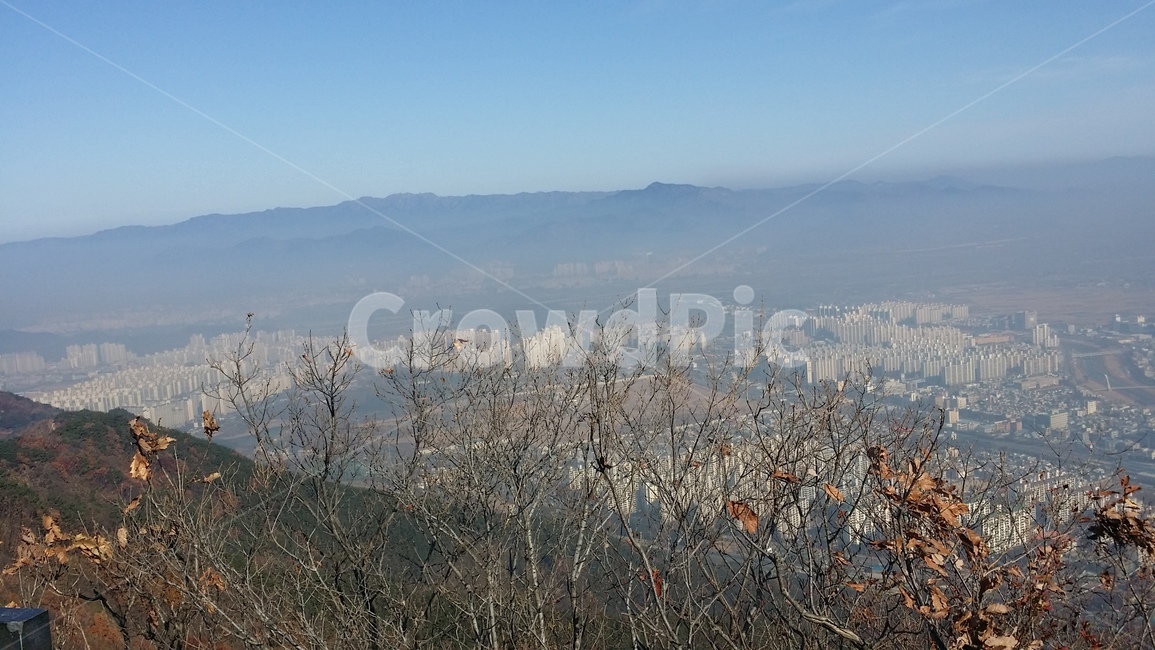 가을,가을산,산,산정상,풍경,산풍경,나뭇가지,낙엽,자연,풍경,nature,landscape,plant,식물,grass,잔디,lawn,reed,갈대
