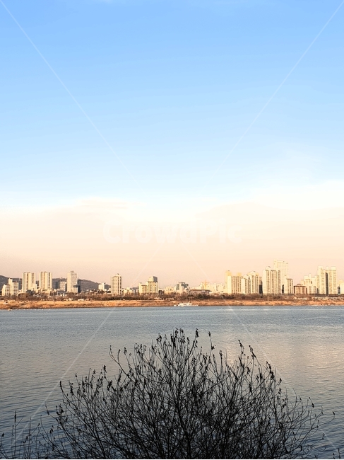 한강,나무,다리,하늘,강,풍경,자연,자전거라이딩,산책,날씨,겨울,미세먼지,자연,풍경,nature,landscape