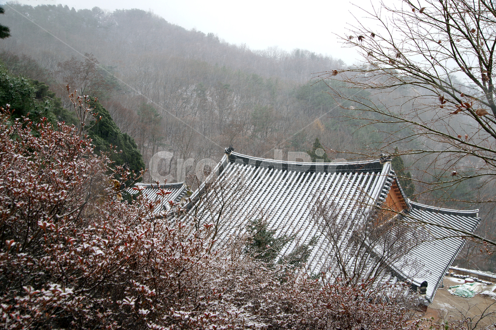 대웅전,눈,학도암,불암산,산사,암자,사찰,벽운화상,법당,겨울,계절,winter,season,한국전통,한국문화,korean traditional,korean culture,건축물,건물외관,exterior,building,structure,architecture,construction