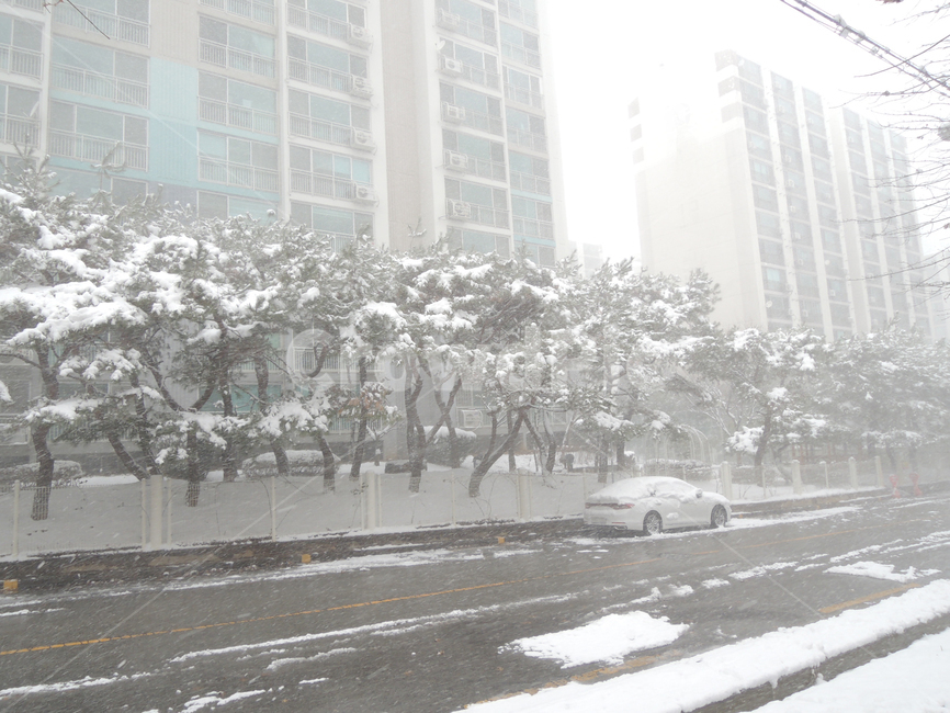 겨울,겨울아파트,눈쌓인아파트,겨울한적한거리,겨울주택가,winter,winterapartment,snowcoveredatartment,winterstreet,겨울,계절,winter,season