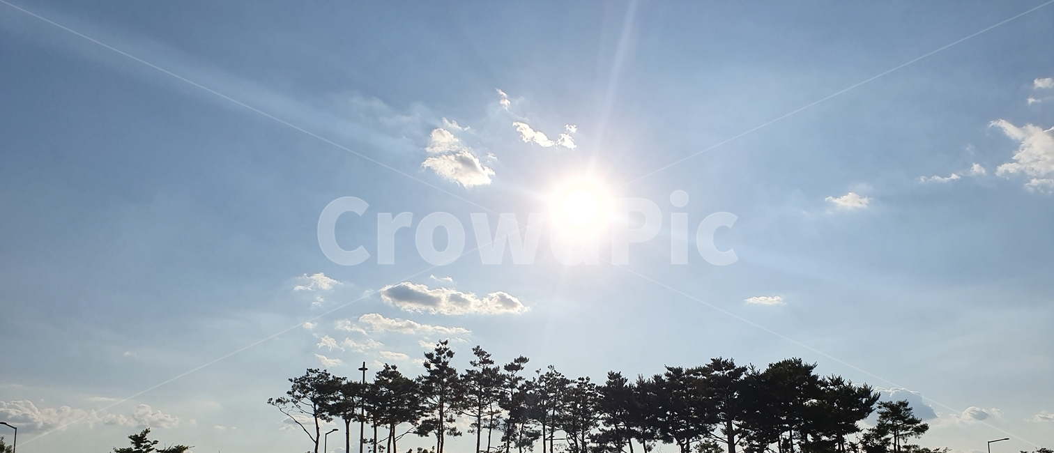 하늘,자연,나무,해,tree,nature,sky,sun