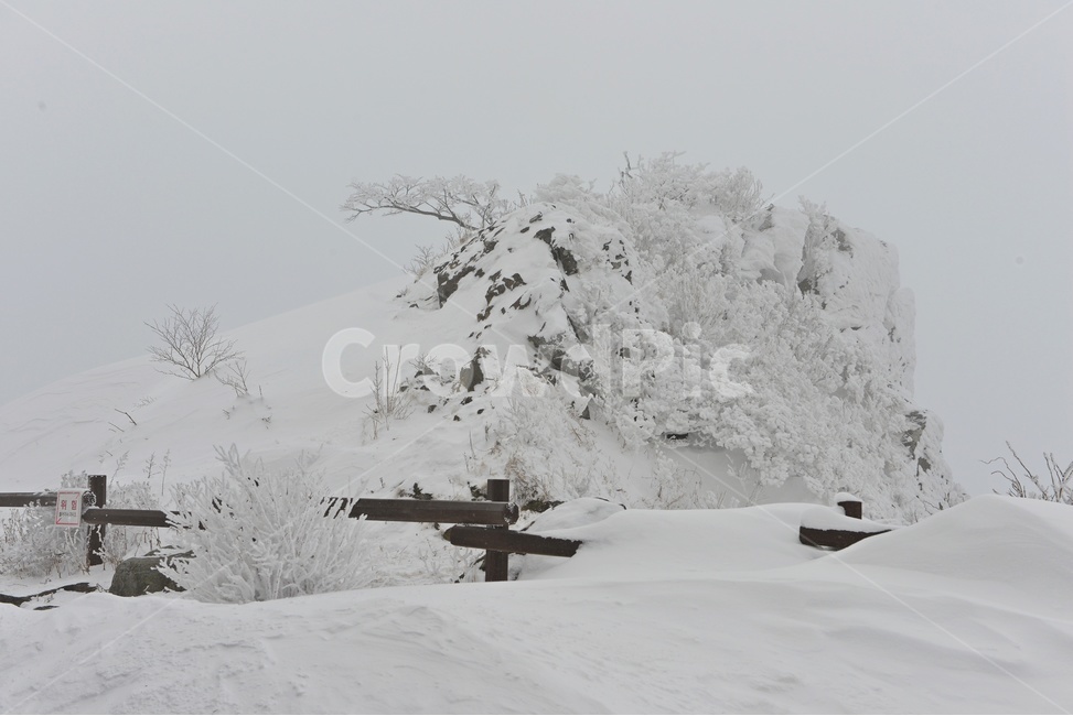전북,무주,설천봉,상고대,상제루,mountainrange,산맥,winter,겨울,blizzard,눈보라,storm,폭풍,nature,자연,outdoors,옥외,ice,빙,snow,눈,mountain,산,겨울,계절,winter,season,자연,풍경,nature,landscape