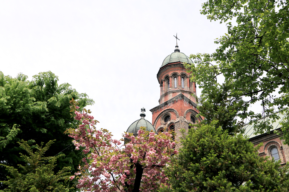 전주,전동성당,한국,성당,봄,봄꽃,전주한옥마을,전주광광지,전주명소,한국관광지,전주전동성당,한국명소,전통,한국랜드마크,건축,건축물,종교,신앙,천주교,spring,church,landmark,랜드마크,landmark,tourist attraction,한국랜드마크,한국관광지,한국명소,korea landmark,korea tourist attraction