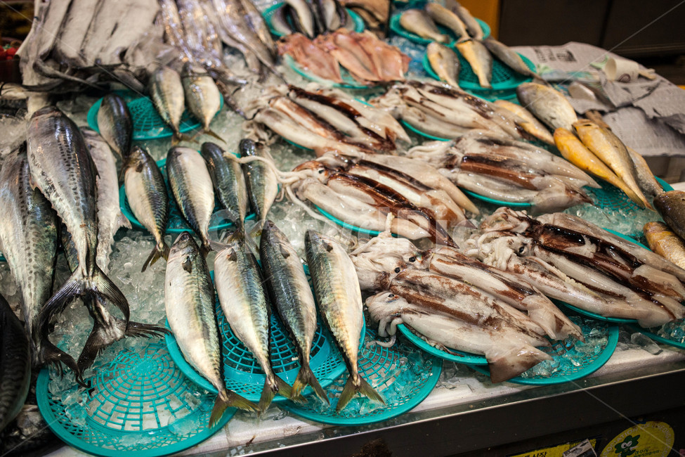 fish,물고기,animal,동물,생선,생선가게,가판대,시장,수산물,수산물,해산물,fishery products,seafood