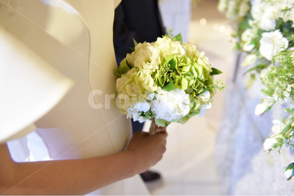 plant,식물,결혼식,꽃,웨딩드레스,신부,결혼,결혼,혼례,웨딩,wedding,marriage,marry