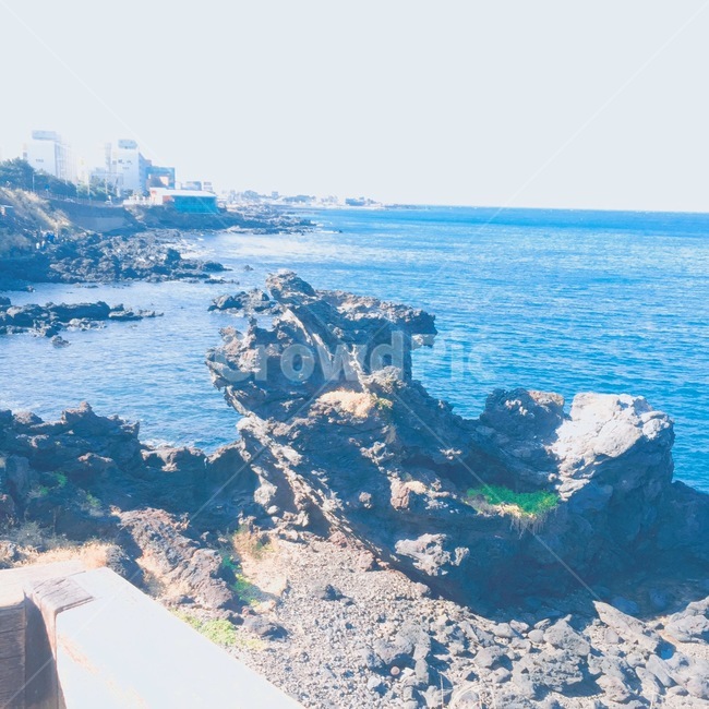 제주도,파란색,바다,돌,파도