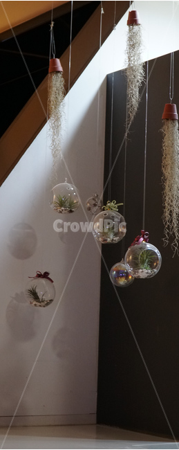 예쁜장식물,prettyornaments,공중화분,airpollen,작은화분,smallpots