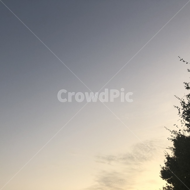 노을,나무,구름,하늘,석양,sky,자연,풍경,nature,landscape,tree,plant,식물