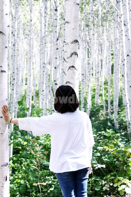 숲,자작나무,여자,뒷모습,휴식,사람,인물,인간,human,person,여성,여자,woman,female,lady