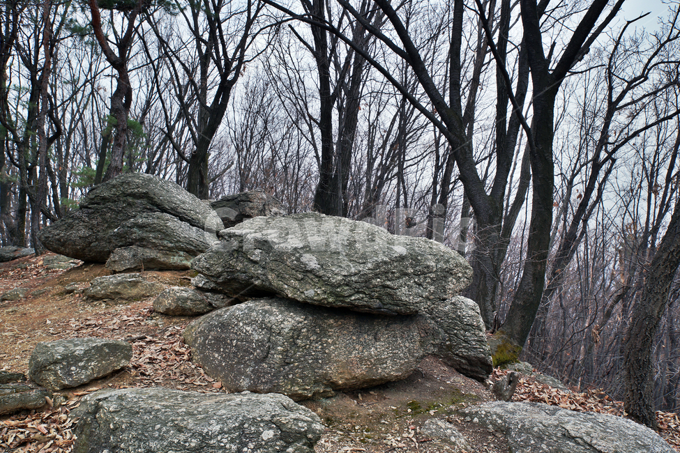 모락산,산,의왕시,자연,바위,나무,낙엽,계절,암석,자연,풍경,nature,landscape