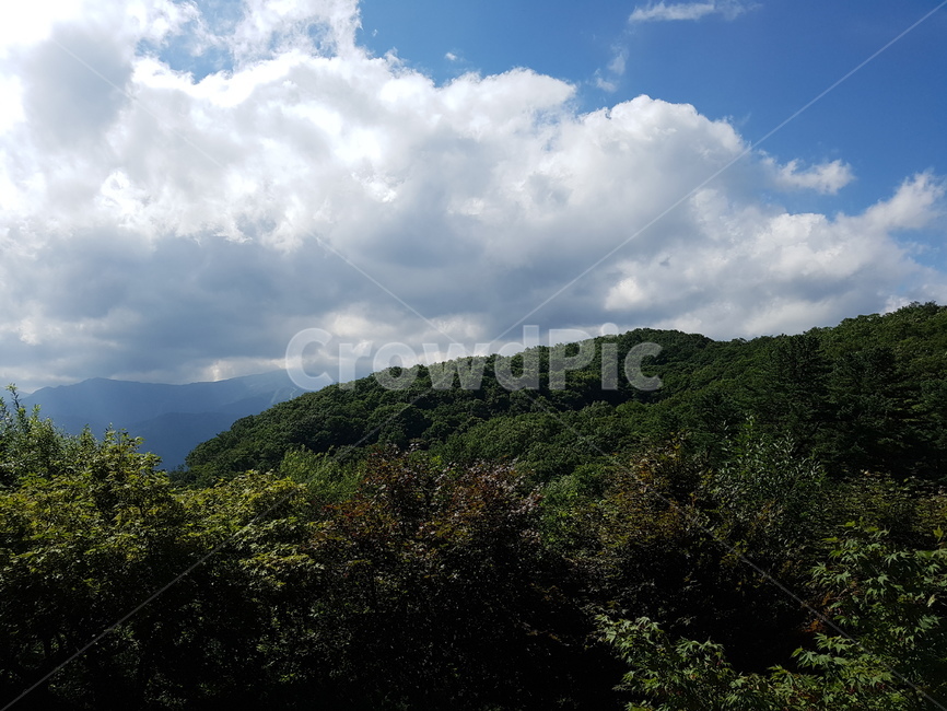풍경,산,나무,구름,숲