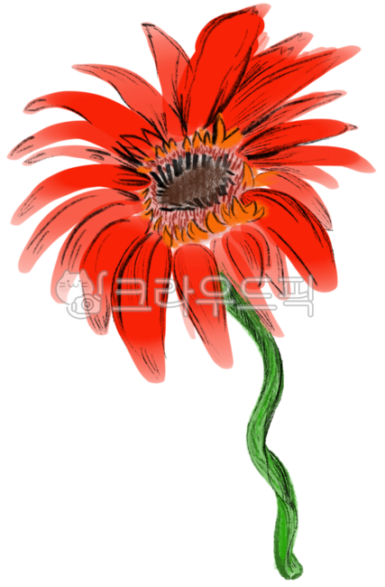 Gerbera,flower,flower painting,rose,red