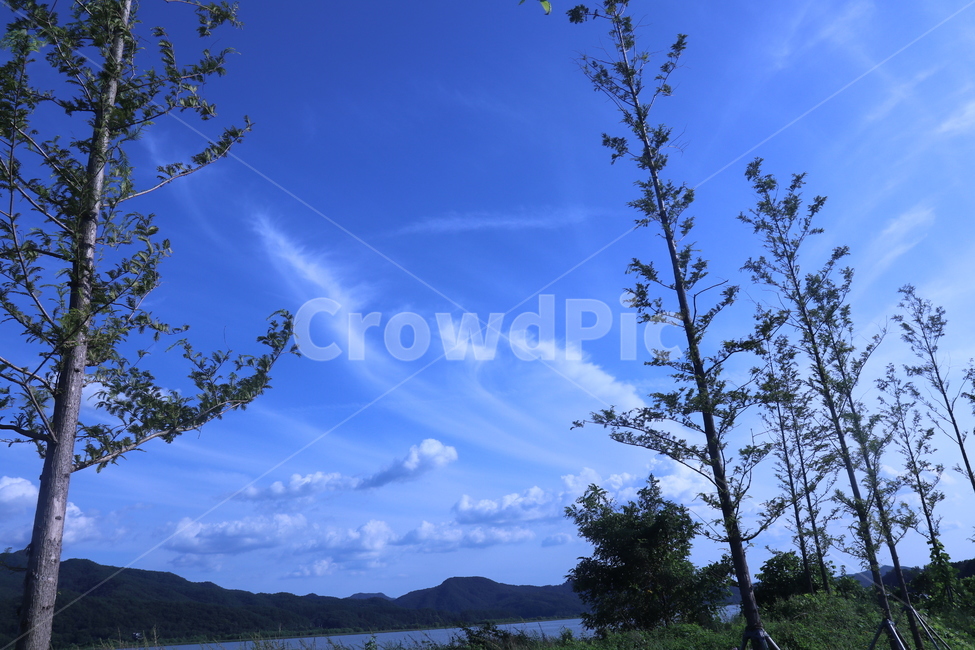 푸른,하늘,구름,풀밭,bluesky