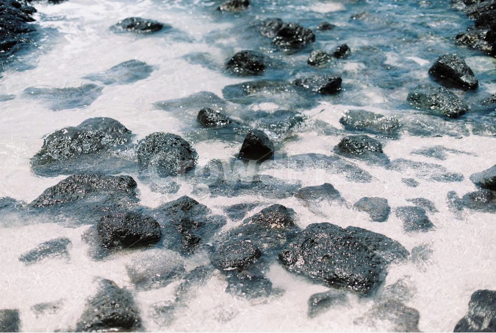 제주,제주도,바다,해수욕장,현무암,여름,필름,필름사진,jeju,sea,summer,film