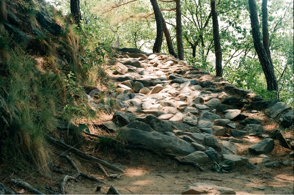 봄,배경,자연,나무,돌,숲,길,산책로,힐링,야외,나들이,돌계단,낮,안동,Spring,nature,tree,stone,forest,path,walkingpath,healing,outdoor,picnic,stonestairs,day,Andong,자연,풍경,nature,landscape,휴식,힐링,rest,relaxation,healing,slate,슬레이트,ground,바닥,rubble,파편