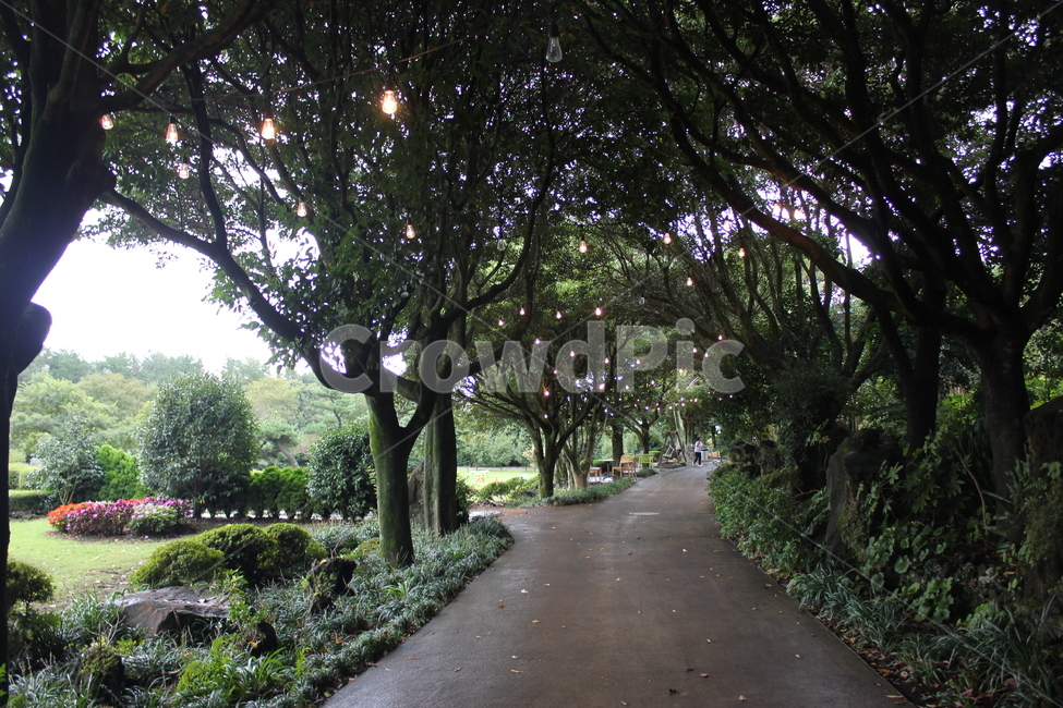제주도,수목원,제주,정원,garden,자연,풍경,nature,landscape,outdoors,옥외,arbour,정자