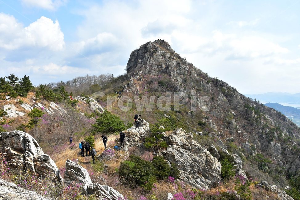 주작산,덕룡산,종주,진달래,풍경,기암,바위,비경,봄풍경,진달래꽃,강진,명산,산행,등산,마운틴,힐링,mountain,landscape,자연,natural,자연,풍경,nature,landscape,한국자연풍경,한국자연경관,korea nature landscape,사람들,대중,군중,other people,crowd,여행,휴가,traveling,vacation,trip,스포츠,레저,운동,sports,leisure,exercise,outdoors,옥외,person,사람,human,인간