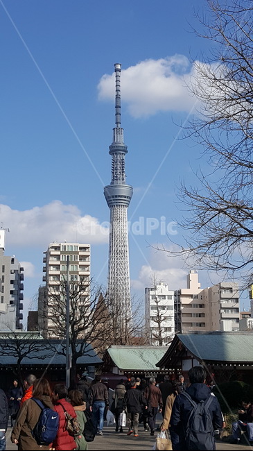 스카이트리,skytree,도쿄,tokyo,일본,japan,탑,tower,사람,people,person,관광지,맑은날,옥외,outdoors,풍경,landscape