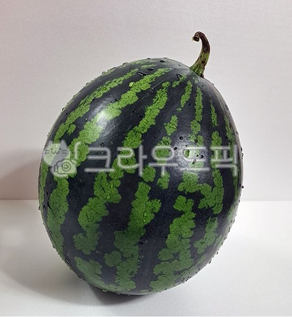 수박,통수박,줄무늬,식품,신선한,싱싱한,채소,과일,수분