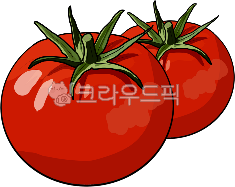 야채라인,채소라인그림,선그림,채소들,야채들,채소,야채,신선한,가게,식재료,농작물,농산물,재료,음식,농사,싱싱한,야채가게,채소가게,비건,건강음식