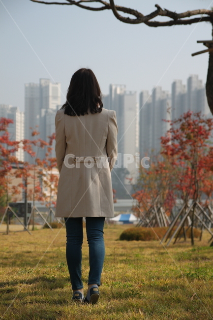 여자,뒷모습,가을,의류,코트,외투,단풍,나무,가을,계절,fall,autumn,season,사람,인물,인간,human,person,여성,여자,woman,female,lady,coat,overcoat