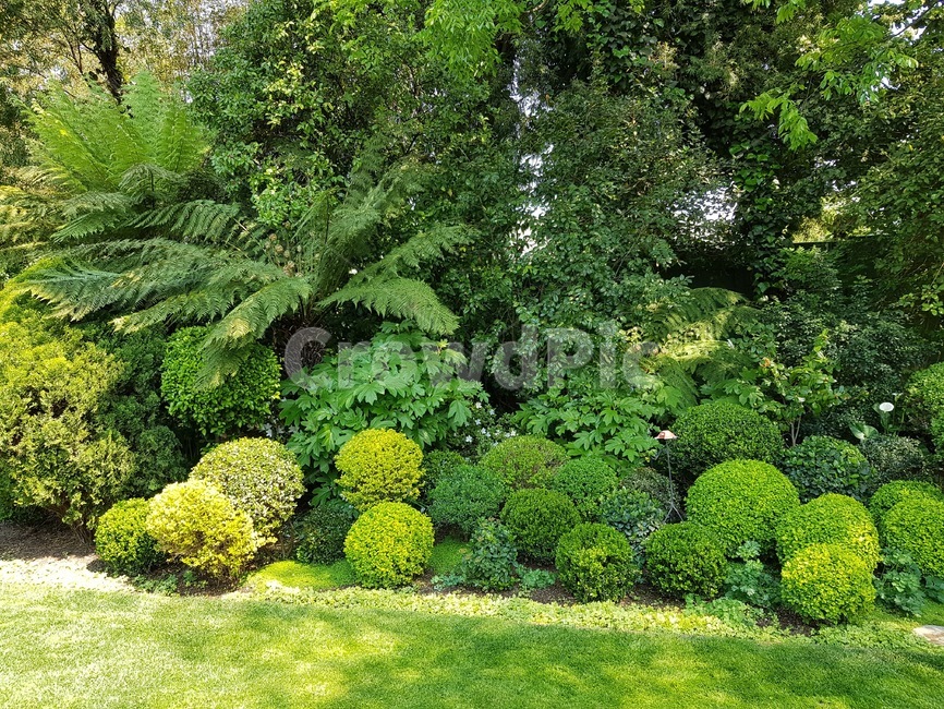 정원,가든,그린,green,garden