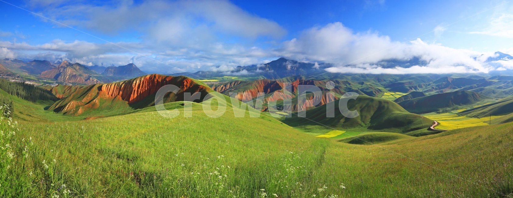 중국,청해성,탁얼산,탁얼산유채밭,유채밭,탁얼산운해,파노라마,nature,자연,outdoors,옥외,영치,경관,풍경,유채꽃,자연,풍경,nature,landscape,세계자연풍경,해외자연풍경,외국자연풍경,world nature landscape