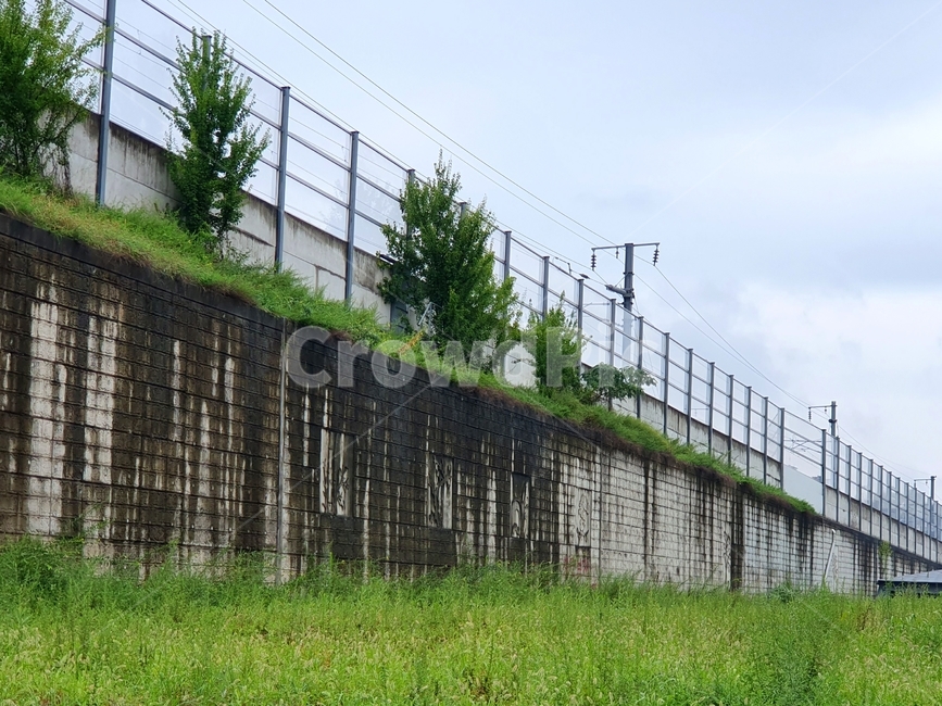 철길,녹색,잔디,철로,초록,grass,railway