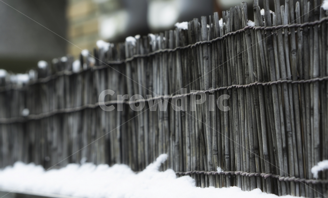 겨울,풍경,자연,눈,계절,이미지,배경,겨울,계절,winter,season