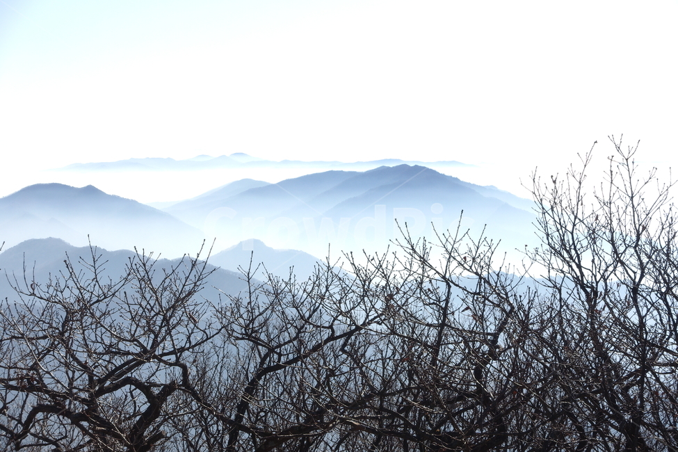 발왕산,산,정상,풍경,운무,안개,몽환적인,자연,산맥,자연,풍경,nature,landscape