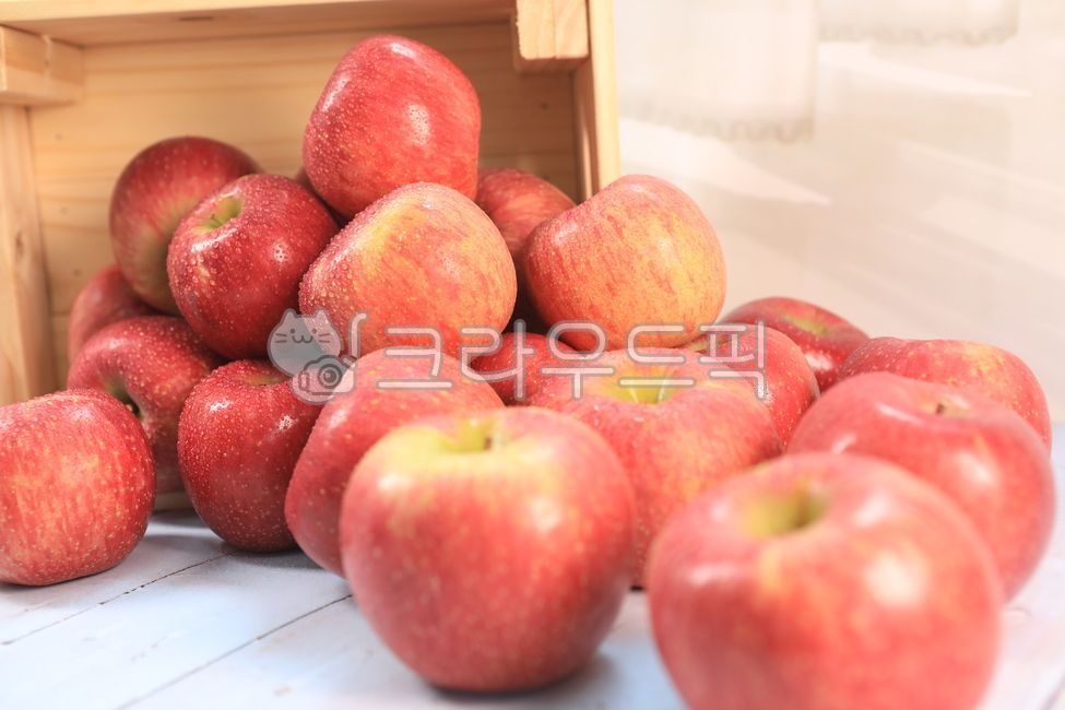 사과,부사,맛있는사과,apple,빨간사과,fruit