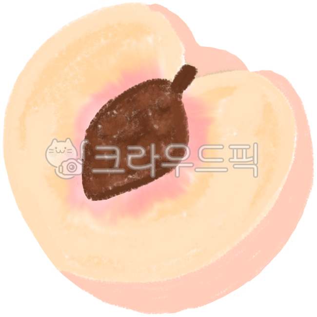 복숭아,복숭아단면,여름과일,과일,백도