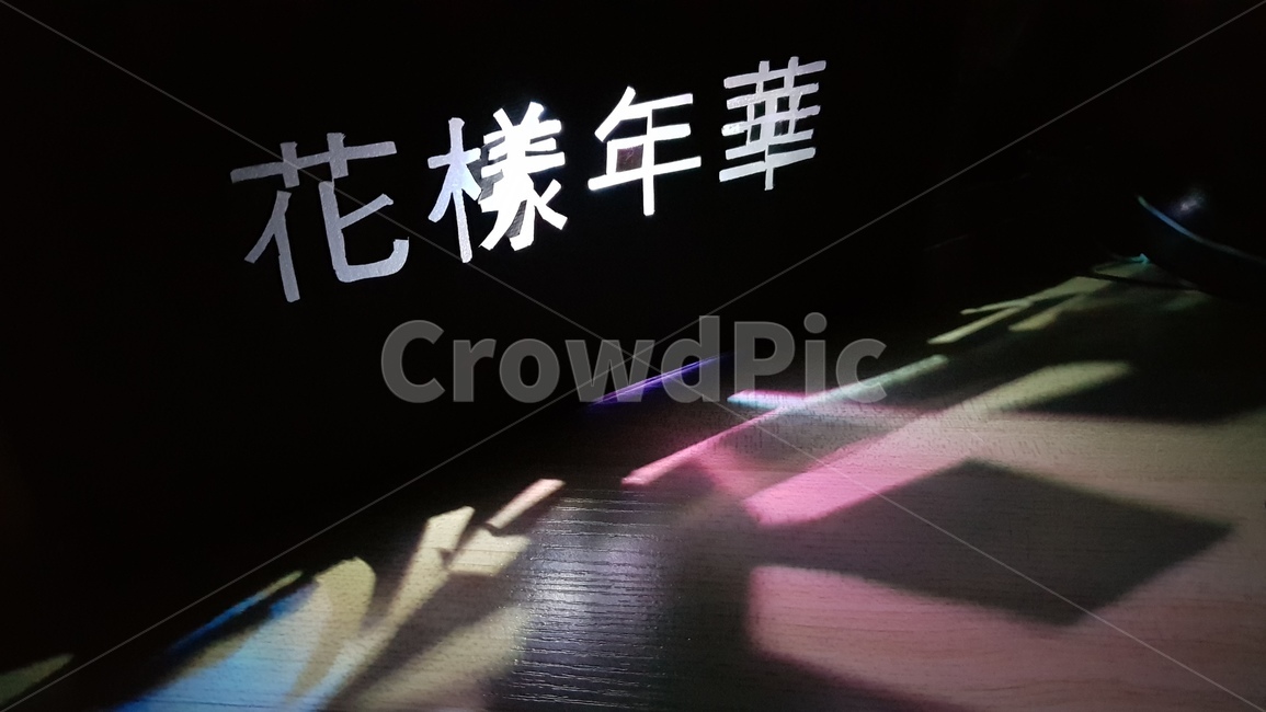 화양연화,빛,몽환,조명,어둠